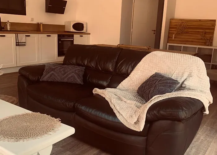 Villa Bois Avec Piscine